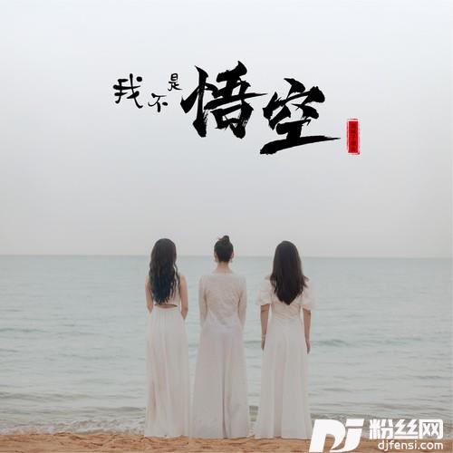 我不是悟空的专辑