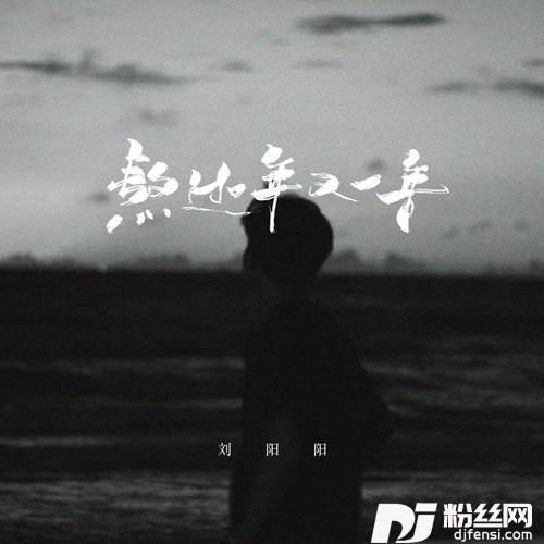 熬过一年又一年（万般滋味我一个人尝）