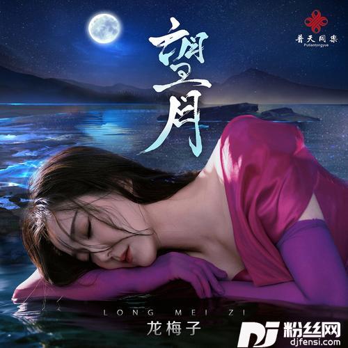 望月的专辑