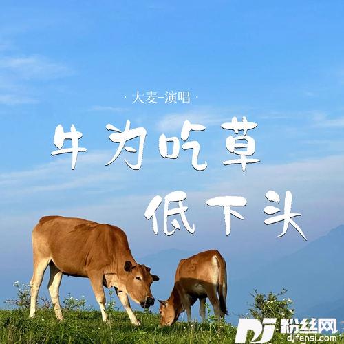 牛为吃草低下头