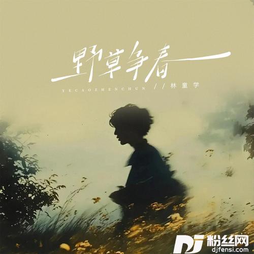 野草争春