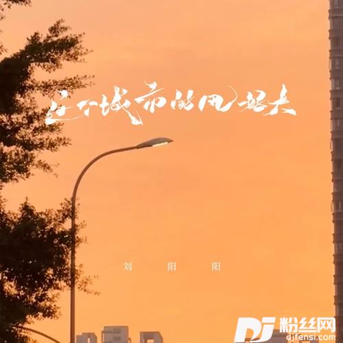 这个城市的风好大