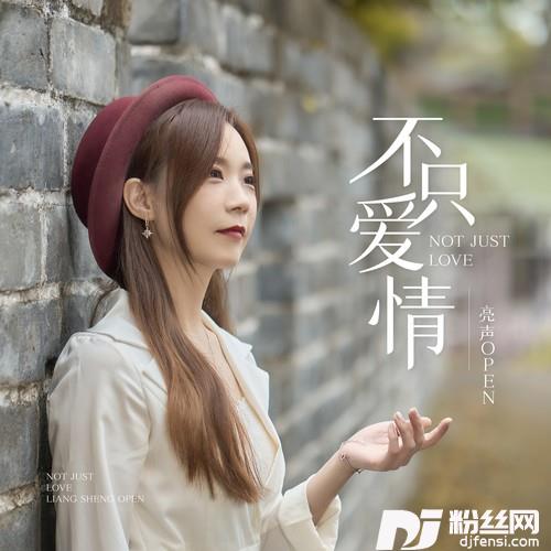 不只爱情的专辑