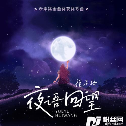 夜语回望