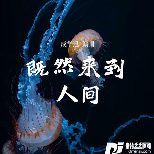 既然来到人间