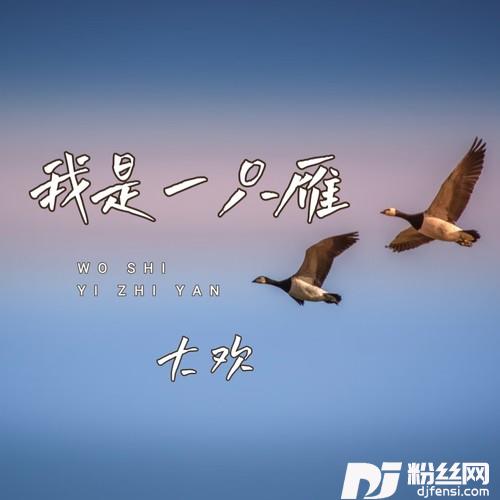 我是一只雁