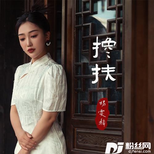 搀扶的专辑