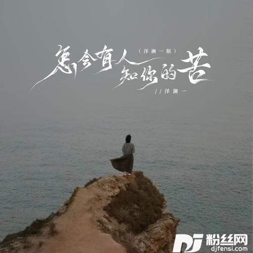 怎会有人知你的苦洋澜一版