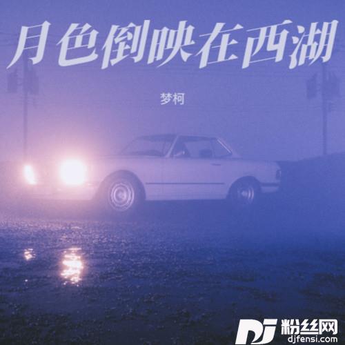 月色倒映在西湖DJ版