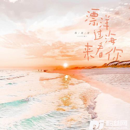 漂洋过海来看你版