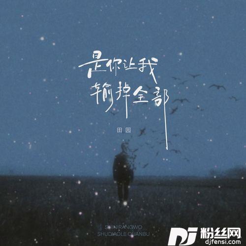 是你让我输掉全部的专辑