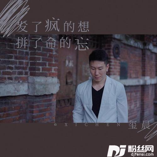 发了疯的想拼了命的忘DJ何鹏版