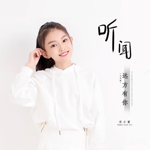 听闻远方有你DJ小勤版