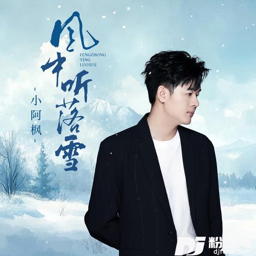 风中听落雪