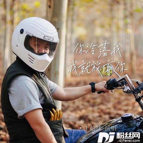 你冷落我我就放弃你DJ默涵版的专辑