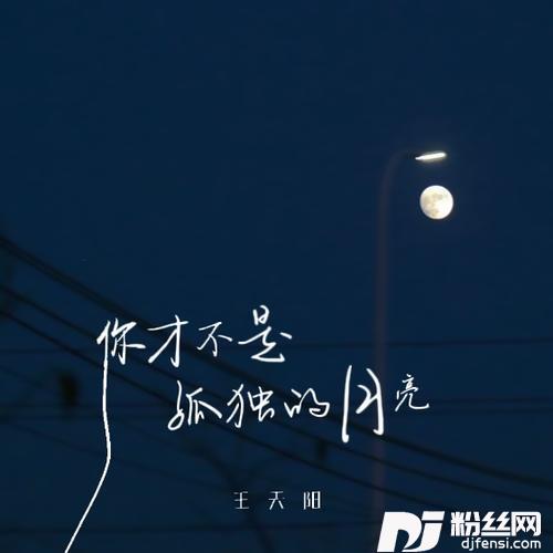 你才不是孤独的月亮的专辑