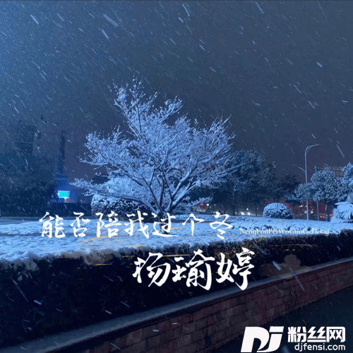 能否陪我过个冬DJ版