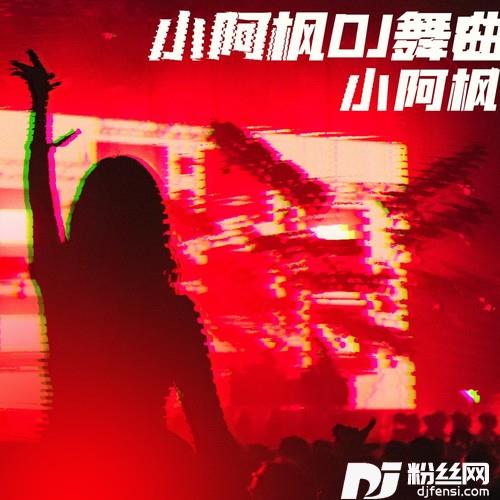 我要找到你DJ九零版的专辑