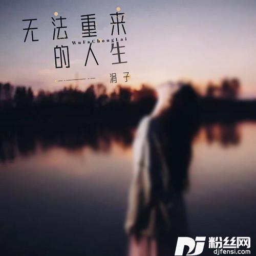 无法重来的人生（无法从来的人生）