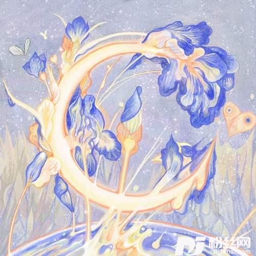 镜花水月