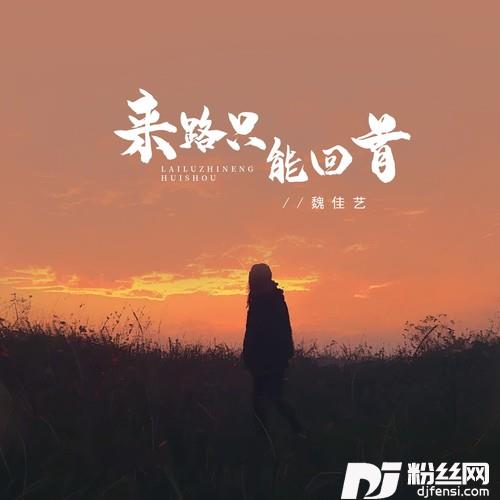 来路只能回首的专辑