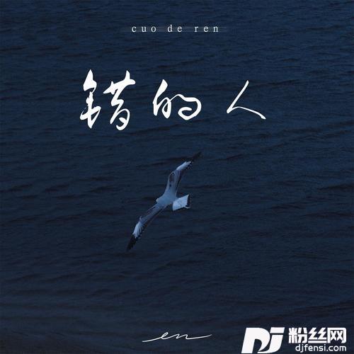 错的人的专辑