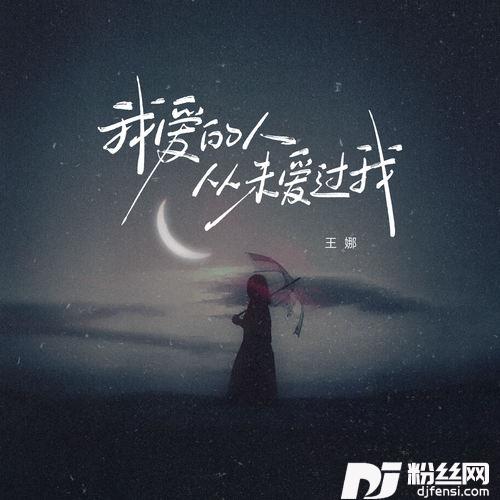 我爱的人从未爱过我