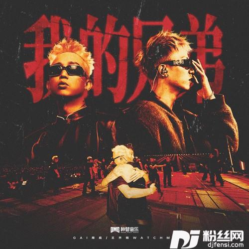 我的兄弟的专辑