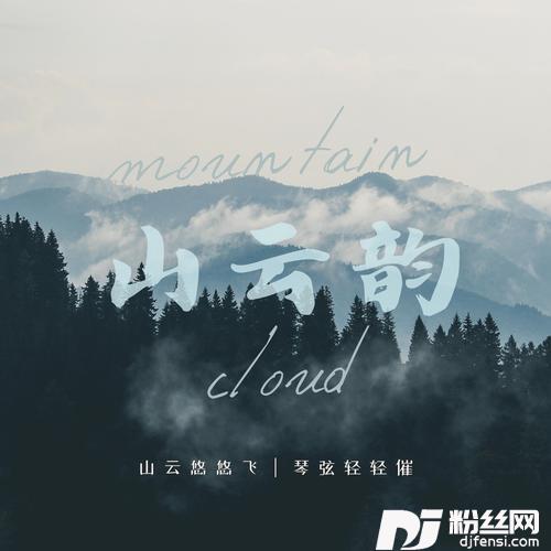 山云韵（DJ咚鼓版）的专辑