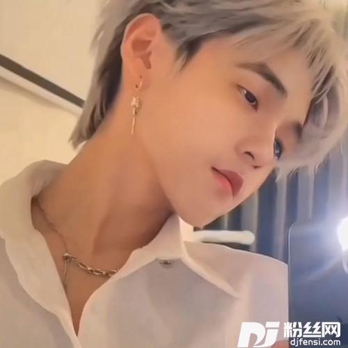 是想你的声音啊（曾经的心掏空给你）DJ迷人磊remix的专辑