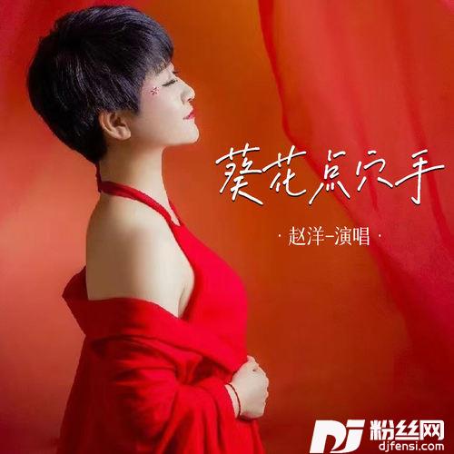 葵花点穴手的专辑