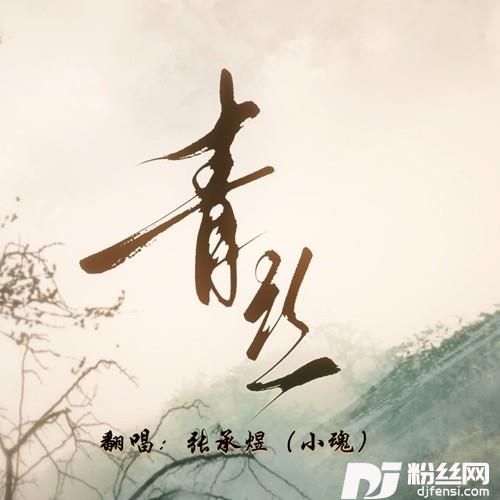 青丝的专辑