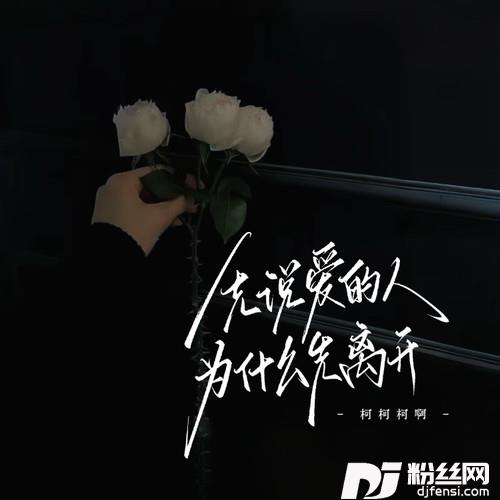 先说爱的人为什么先离开