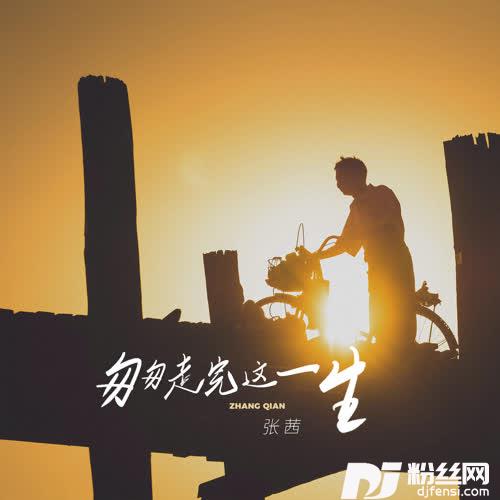 匆匆走完这一生的专辑