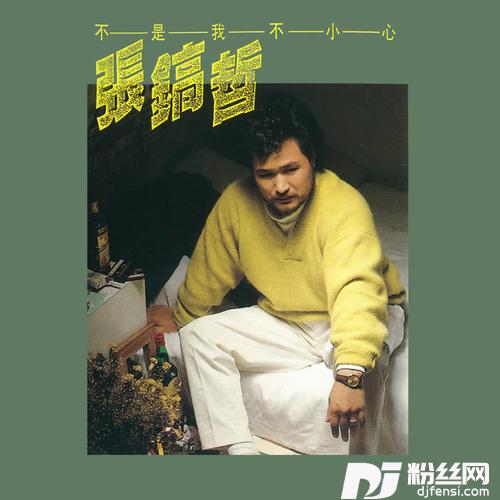 不是我不小心