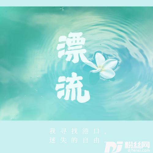 漂泊（DJ版）