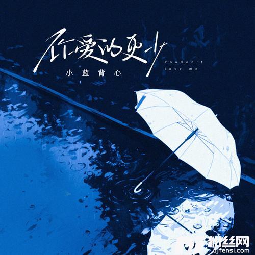 你爱的更少