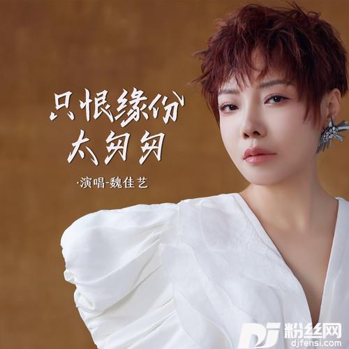 只恨缘分太匆匆的专辑