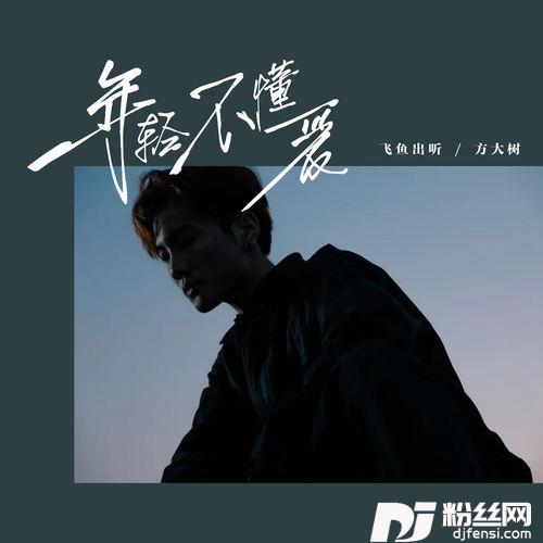 年轻不懂爱DJ0.9x的专辑