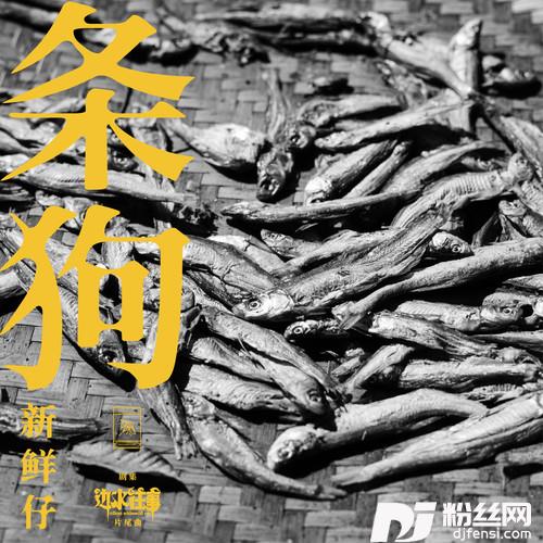 条狗