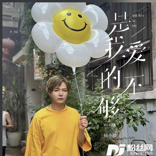 是我爱的不够
