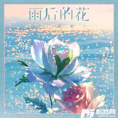 雨后的花