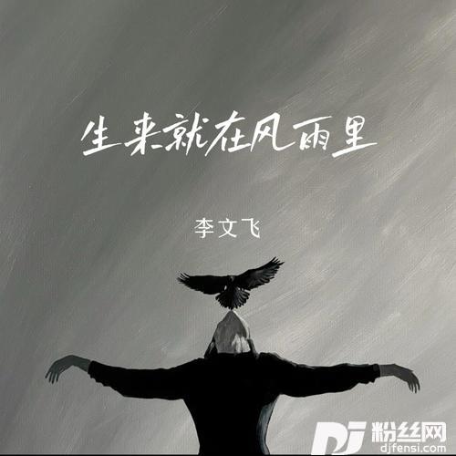 生来就在风雨里的专辑