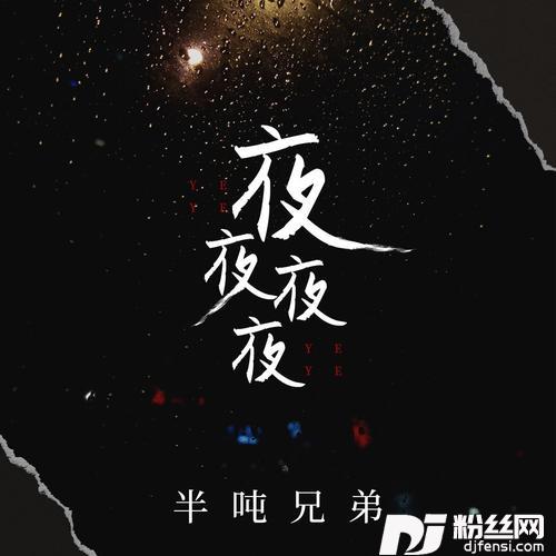夜夜夜夜DJ九零版的专辑