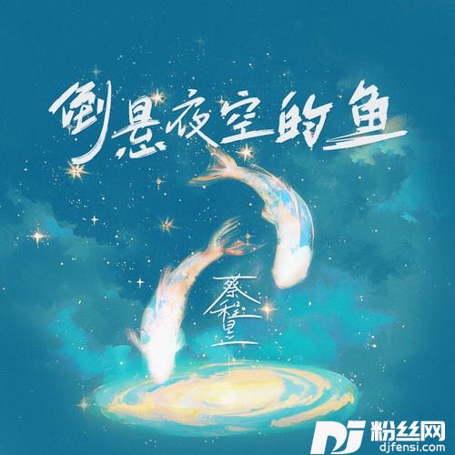 倒悬夜空的鱼