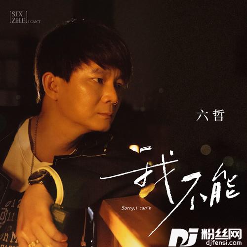 我不能的专辑
