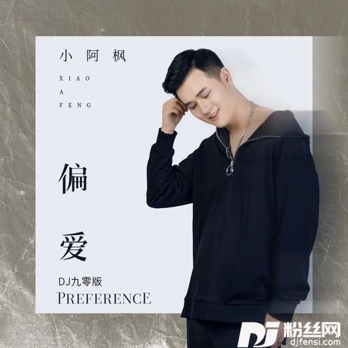 偏爱DJ九零版的专辑