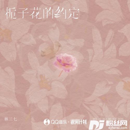 栀子花的约定