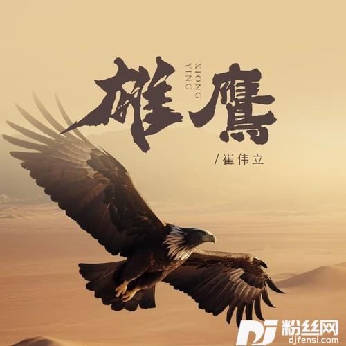 雄鹰