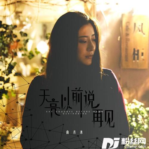 天亮以前说再见的专辑